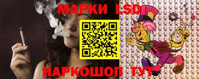 гидропоника Тула