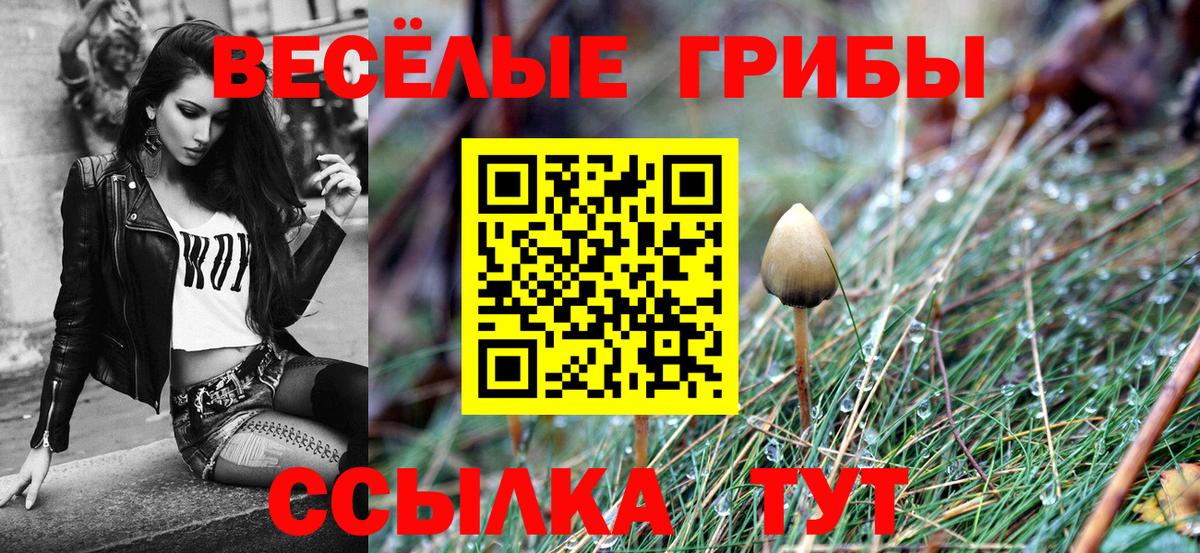 Галлюциногенные грибы Psilocybine cubensis Азнакаево